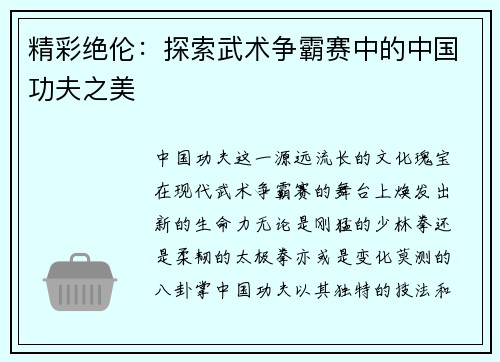 精彩绝伦：探索武术争霸赛中的中国功夫之美